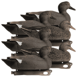 Hard Core Decoys Rugged Series Gadwall Duck Decoys (3 Drakes & 3 Hens). CHICKEN PIECES.