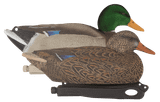 Hard Core Decoys Rugged Series Standard Mallard Duck Decoys with Flocked Drake Heads. CHICKEN PIECES.