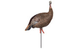 Avian-X HDR Hen Turkey Decoy. CHICKEN PIECES.
