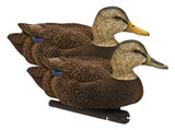 Avian-X Topflight Black Duck Decoys (3 Drakes & 3 Hens). CHICKEN PIECES.