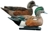 Avian-X Topflight Wigeon Duck Decoy Pack (2 Rester Drakes, 2 Stealer Drakes, & 2 Swimmer Hens). CHICKEN PIECES.