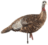 Avian-X LCD Lookout Hen Turkey Decoy. CHICKEN PIECES.
