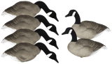 Mayhem Decoys Big Honker Painted-Head Full-Body Canada Goose Decoy Pack. CHICKEN PIECES.