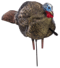 Avian-X LCD 1/2 Strut Jake Turkey Decoy. CHICKEN PIECES.