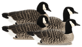 Avian-X Topflight Lessers Floating Goose Decoys. CHICKEN PIECES.