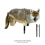 Lucky Duck Yote' Coyote Decoy. CHICKEN PIECES.