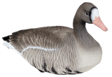 Heavy Hauler Outdoor Gear Full Body Painted Head Specklebelly Goose Decoys. CHICKEN PIECES