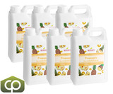Bossen Pineapple Bubble Tea Concentrated Syrup 64 fl. oz. (1.89 L) | Made with Real(6/Case)-Chicken Pieces