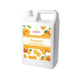Bossen Kumquat Concentrated Syrup 64 fl. oz. (1.89 L) | Real Juice(6/Case)-Chicken Pieces
