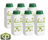 Bossen Honeydew Bubble Tea Concentrated Syrup - 30 fl. oz.(6/Case)-Chicken Pieces