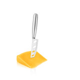 Silver Perforated Cheese Knife by True