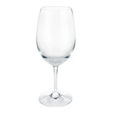 Shatterproof Plastic Wine Glass by True