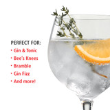 Spiegelau 21 oz Gin and Tonic Glass (set of 4) Spiegelau 21 oz Gin and Tonic Glass (set of 4)