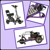Triaxe SPORT Ultimate Performance Power Scooter by Enhance Mobility-Chicken Pieces