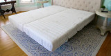 Transfer Master Companion 2 Function Adjustable Beds - Affordable Comfort-Chicken Pieces