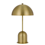 20" Antiqued Brass Metal Desk Table Lamp With Antiqued Brass Dome Shade - Chicken Pieces