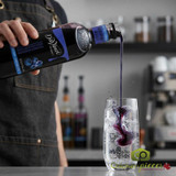 DaVinci Gourmet 750 mL Sugar-Free Blueberry Flavoring Syrup - Chicken Pieces