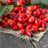  Rainforest supply Rosehips Powder Organic 