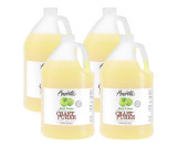 AMORETTI Amoretti Key Lime Craft Puree 1 Gallon - Infuse Fresh Tangy Bliss 