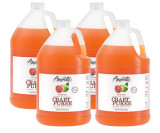 AMORETTI Amoretti Fresh Tropical Bliss of Guava Craft Puree 1 Gallon