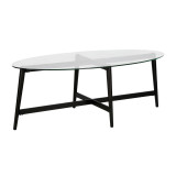homeroots living room 50" Black And Clear Glass Oval Coffee Table  homeroots living room 50" Black And Clear Glass Oval Coffee Table
