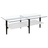 homeroots living room 47" Black Glass Rectangular Coffee Table With Shelf 