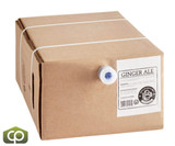 Boylan Bottling Co. Ginger Ale Syrup 5 Gallon Unique Craft Soda Bag in Box - Chicken Pieces