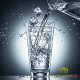 GET 20 oz Clear Plastic Tumbler (24/Case) - Elegant, Contemporary Drinkware - Chicken Pieces