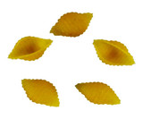 Arrezzio Classi Pasta Shell Small 4.54KG/10 LBS  (2/Case)   Arrezzio Classi Pasta Shell Small 4.54KG/10 LBS  (2/Case)
