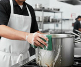 Chicken Pieces Sysco Pad Scour Green General Purpose 6x9 in. Antimicrobial (20/Case)