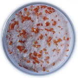 Chicken Pieces Rokz Orange Cocktail Rimming Sugar - 1 lb. Bag, Gourmet Sugars with Citrus Mandarin Orange Flavor 