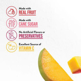DAVINCI DaVinci Gourmet Mango Mania Real Fruit Smoothie Mix - 48 fl. oz./3 lbs - 6/Case 