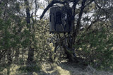  Banks Outdoors The Stump 4 Limited Edition 360° Deer Hunting Blind - Whitetail Properties Pro Hunter Phantom 