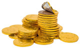 Chicken Pieces Chocolate Gold Coins Bulk Food Service 24 lbs/10.89 kgs 