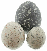 Chicken Pieces Candy Pebbles Bulk Food Service 20lbs/9.07 kgs