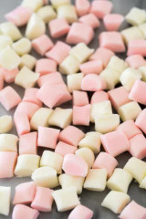 Chicken Pieces Dessert Mints Bulk Food Service 25lbs/11.34 kgs