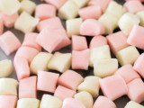 Chicken Pieces Dessert Mints Bulk Food Service 25lbs/11.34 kgs