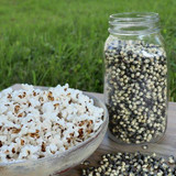 Chicken Pieces Blue Popcorn Kernels Bulk Food Service 25lbs/11.34 kgs 