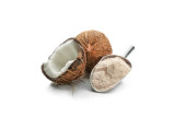 Organic Coconut Milk Powder Bulk Size 33lbs/14.97 kgs