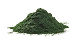 Chlorella Powder Bulk Size 22lbs/9.98 kgs