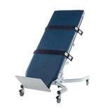 tri w-g Tri W-G Motorized Heavy Duty Tilt Table 