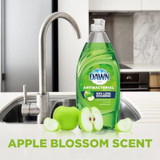 DAWN Dawn Ultra Antibacterial Dishwashing Liquid Dish Soap, Apple Blossom Scent, 2.64 L/89.26 oz (6/Case) 