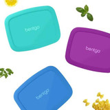 BENTGO Bentgo Fresh Lunch Box Containers 20.8 oz/1.3 LBS (3/Case) 
