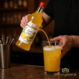 Monin Citrus Exotic Syrup 1LTR/33.81oz (4/Case)