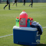 GATORADE Gatorade Liquid Concentrate Variety Pack 1 Gallon (4/Case) | Fruit Punch, Orange, Lemon-Lime & Fierce Grape | Makes Up to 24 Gallons
