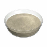  Gordon Choice GFS Au Jus Beef Dip Gravy Mix Bulk 4.5Kg | 2/CASE | 50 CASES PER PALLET-(Total 100 units) 