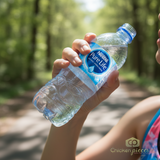 NESTLE Pure Life Natural Spring Water (Case) 35x500.0 ml