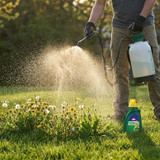 Ortho Killex 1L Lawn Weed Control Concentrate — 8,000 sq. ft. Coverage