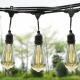 OVE 48 ft. (14.63 m) Glass Weatherproof LED String Lights