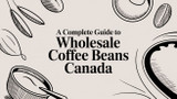 A Complete Guide to Wholesale Coffee Beans Canada